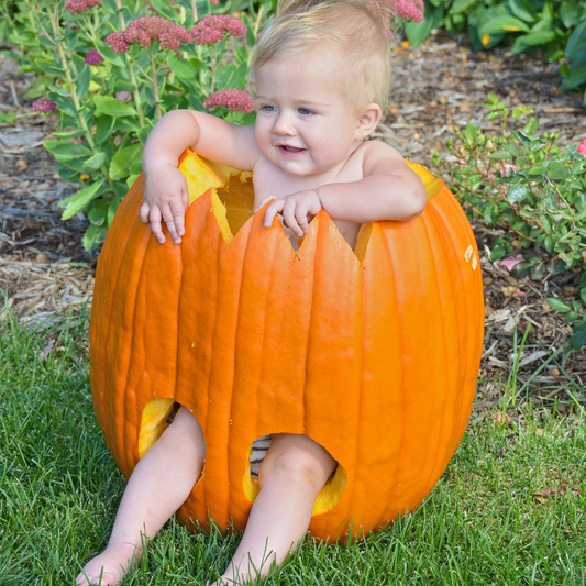 Cherishing Autumn Together: Top Fall Activities to Enjoy with Your Baby